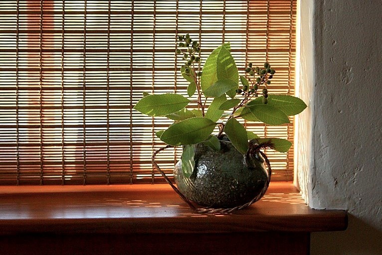 IH still life (2).jpg