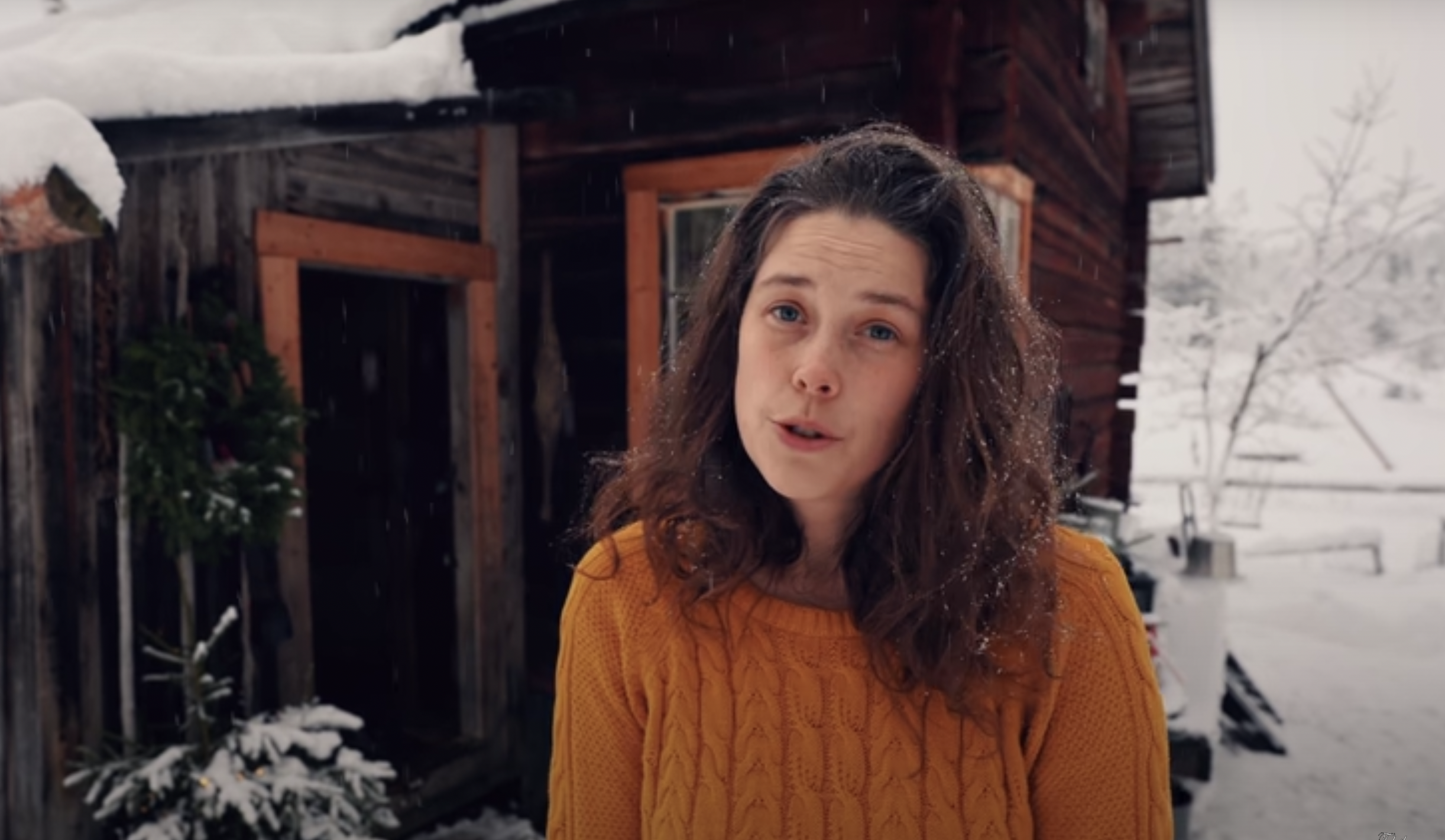 Eight Years in the Forests of Sweden