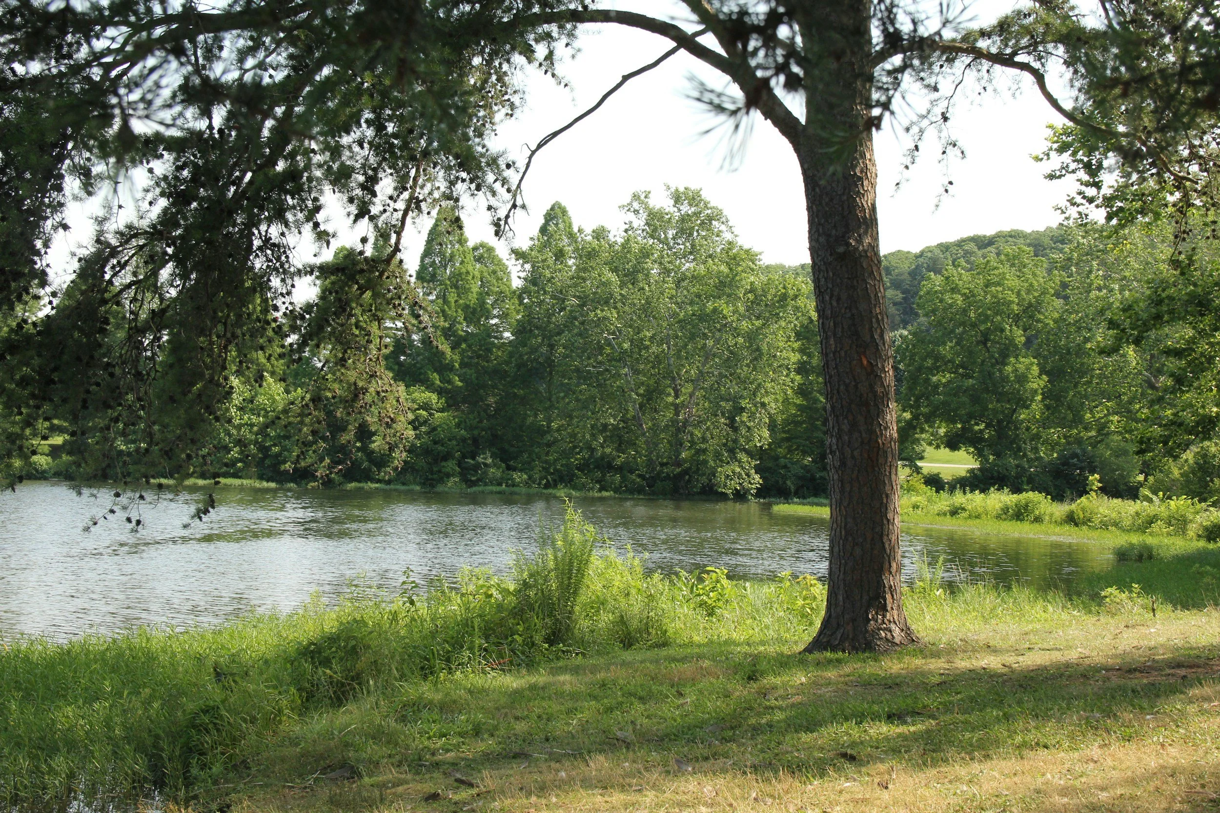 A Year in the Life of an American Indian: Spring II