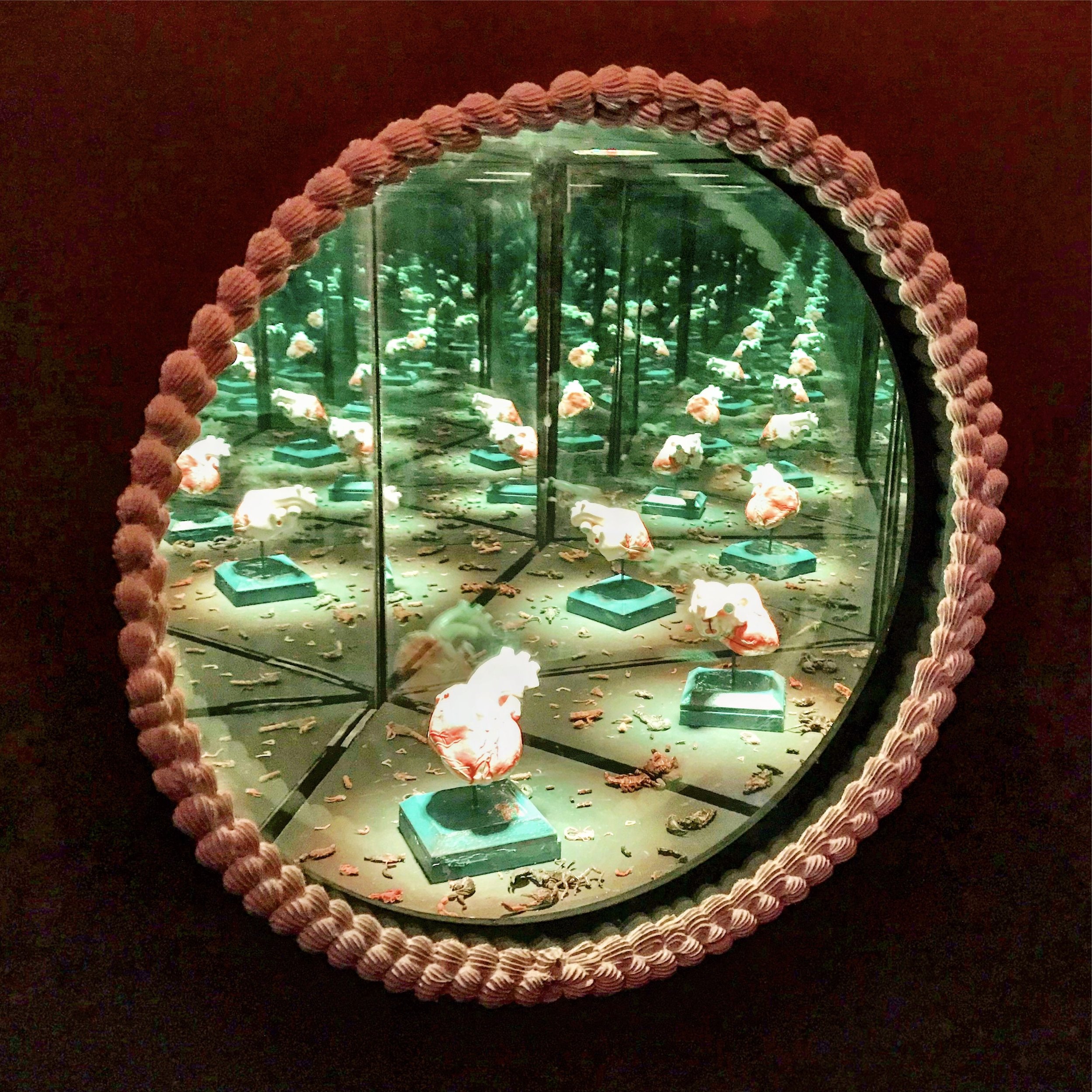 image_6487327 (3).JPG