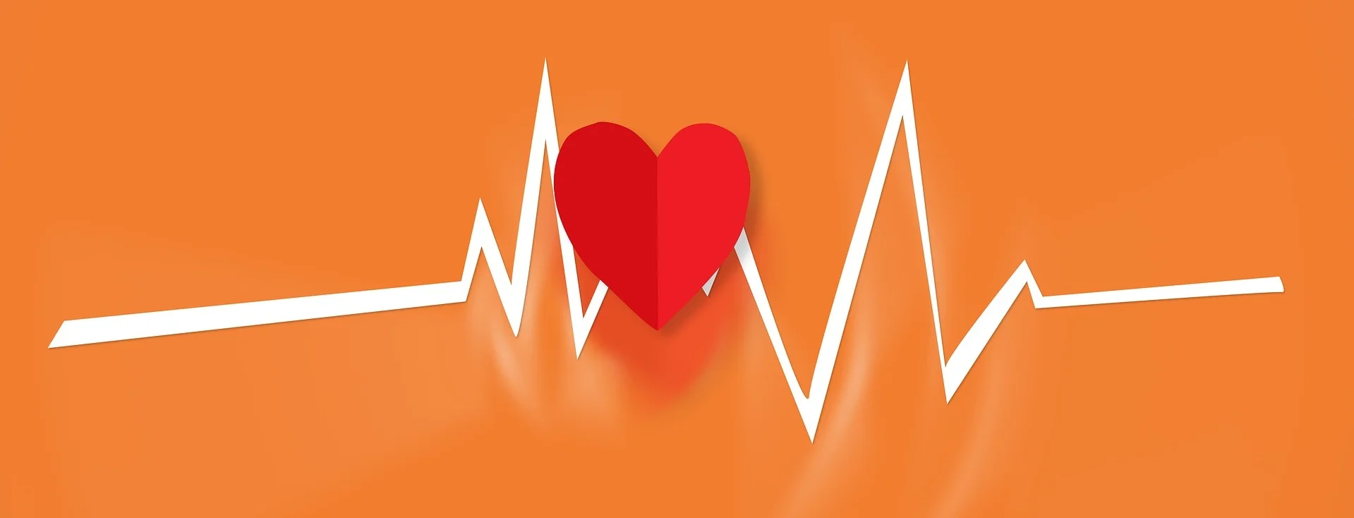 heart-2211180_1920.jpg