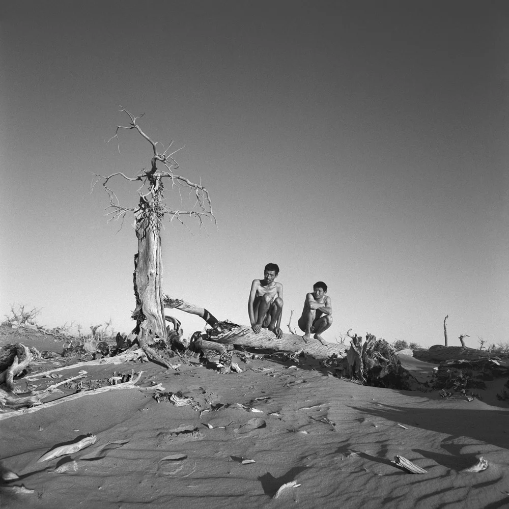 Lost Paradise No. 5