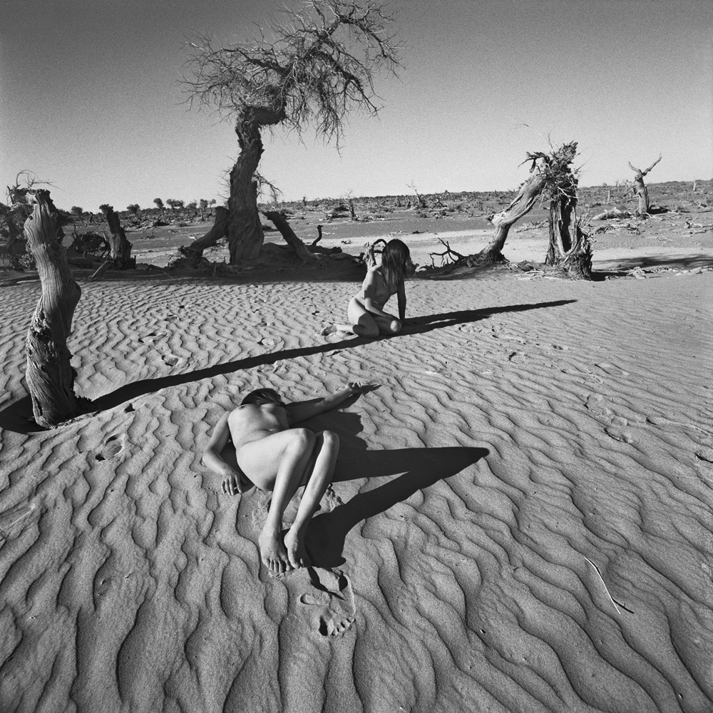 Lost Paradise No. 2