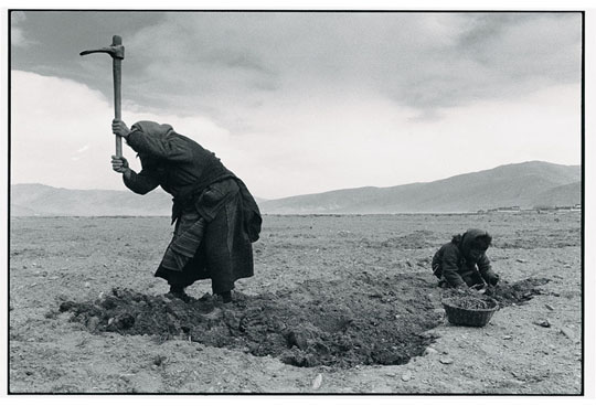 Lü Nan Over his two-decade photography career, Lü Nan has created four impressive series, "The Forgotten People: The State of Chinese Psychiatric Wards", "On the Road: Catholics in China", "The Four Seasons: The Daily Lives of Tibetan Peasants", "Prison Camps in Northern Myanmar". For each project, Lü spent anywhere from three months to eight years acquainting himself with his subjects, and it is this immersion in his stories that allows him to create such expansive yet intimate bodies of work.