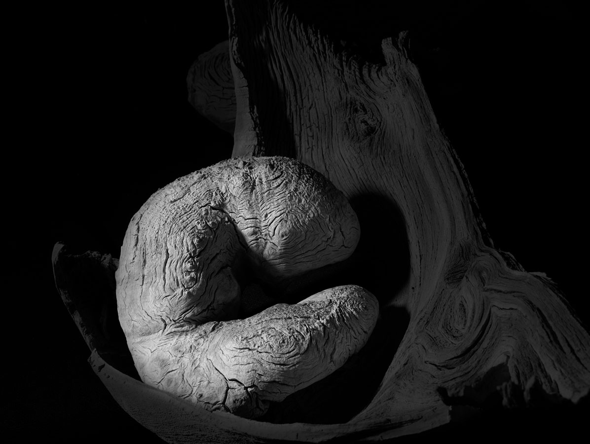 A Portrait of Time No. 4