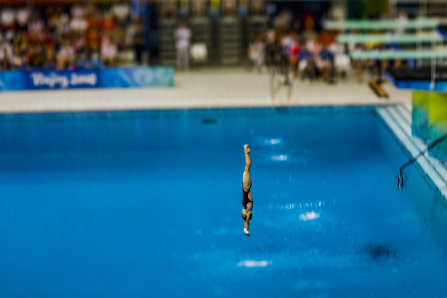 Platform diving, Beijing, August 2008