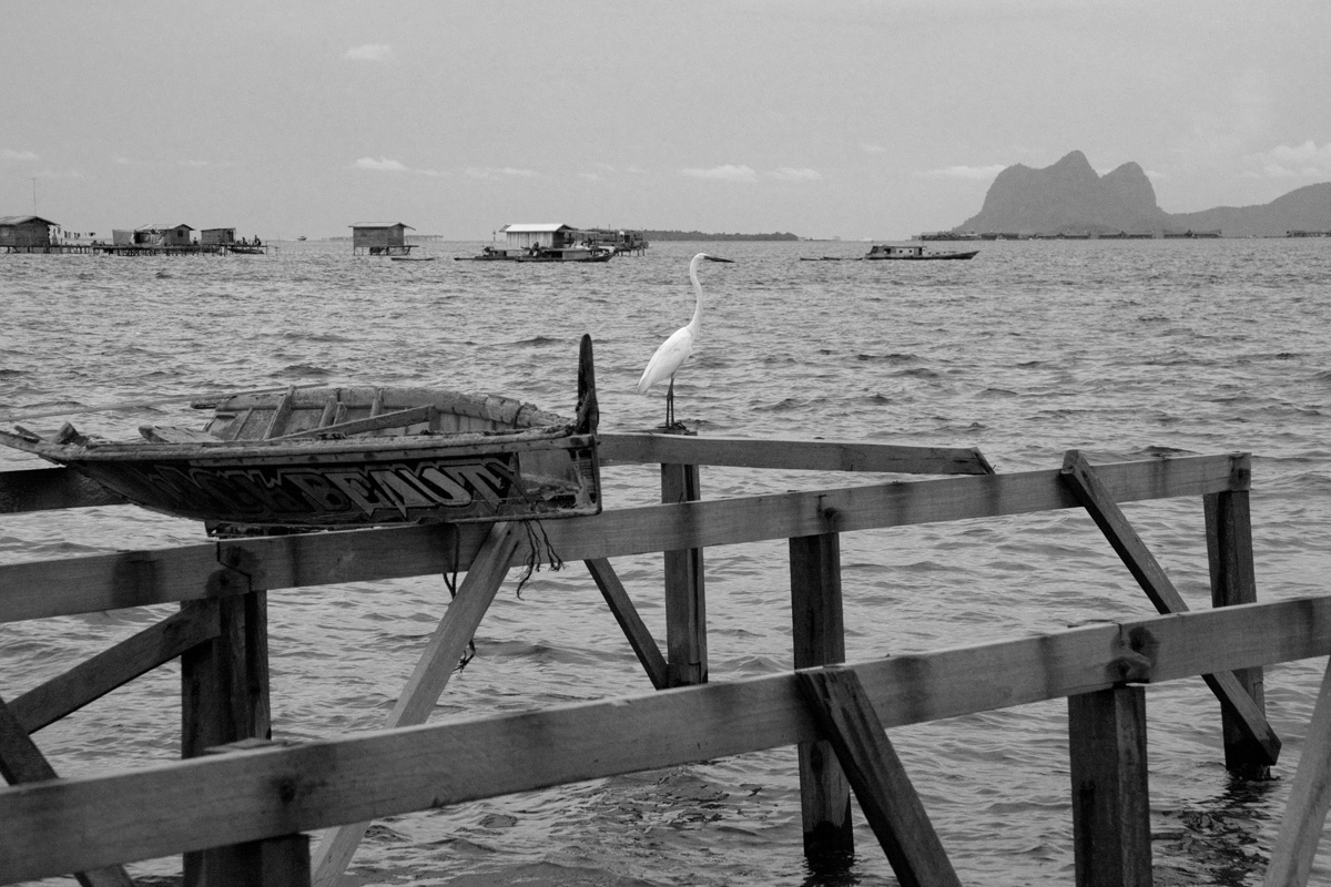 At Sea Y-7