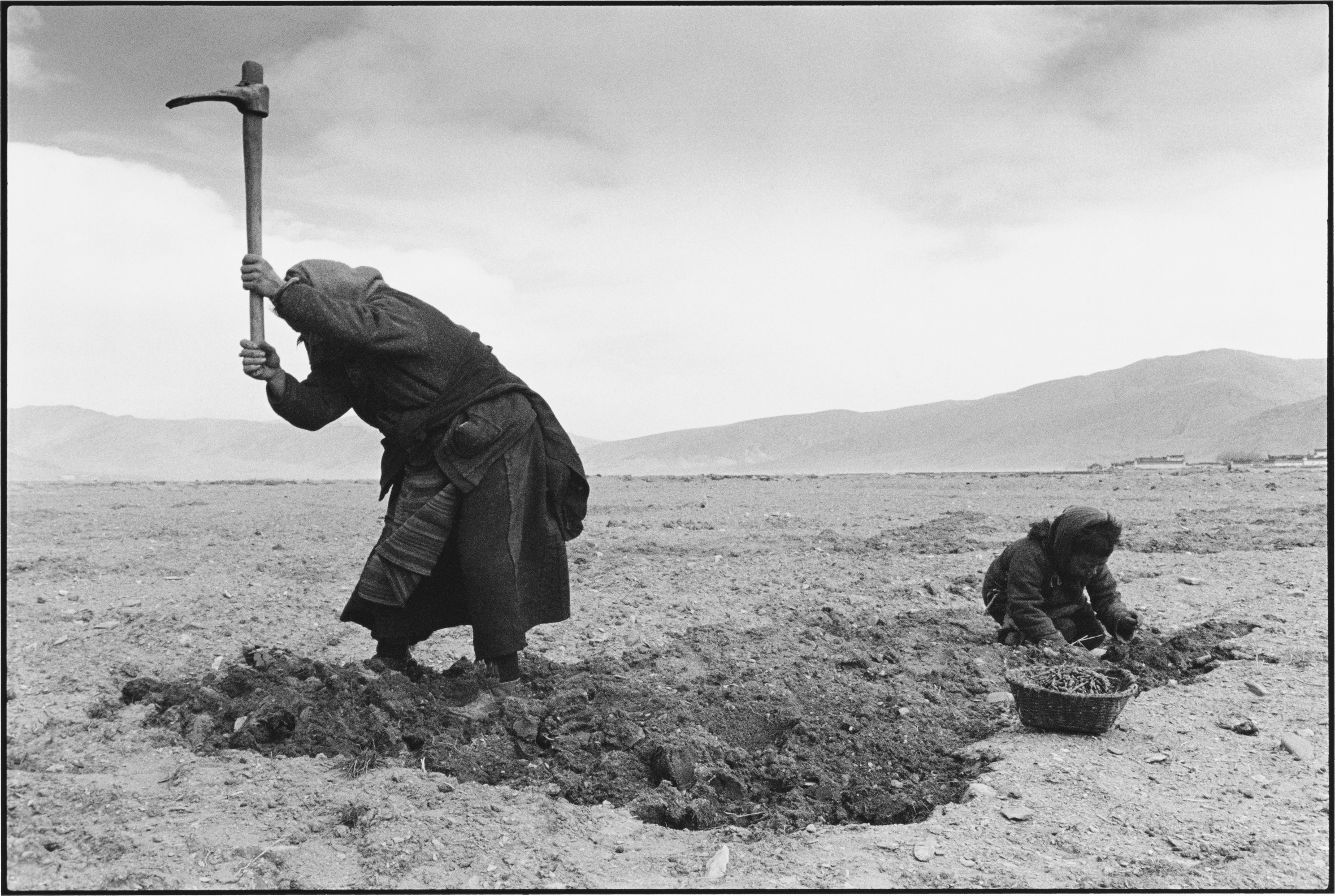A Mother and Son Dig for Edible Plants, Tibet