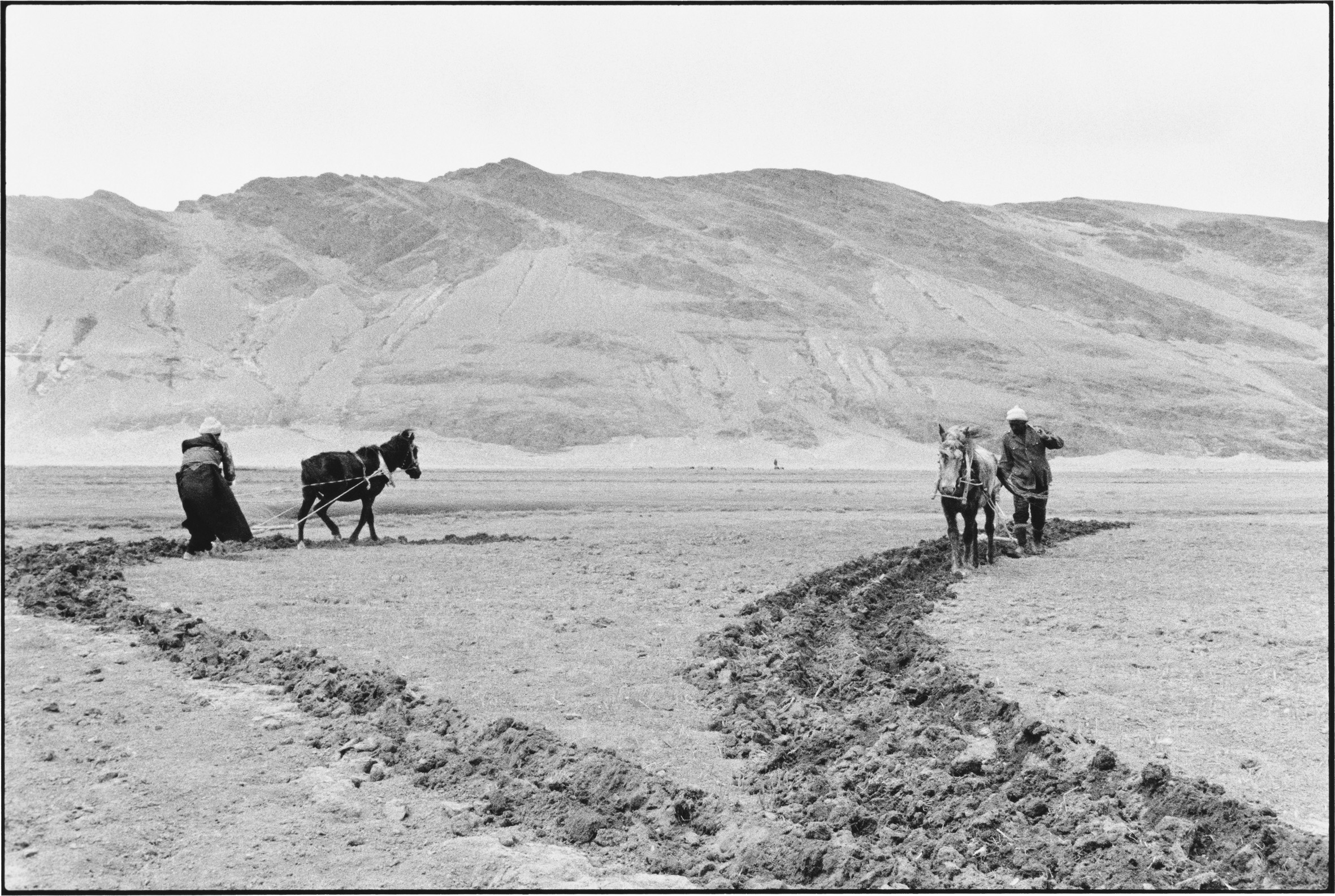 A Husband and Wife Plowing the Fields, Tibet