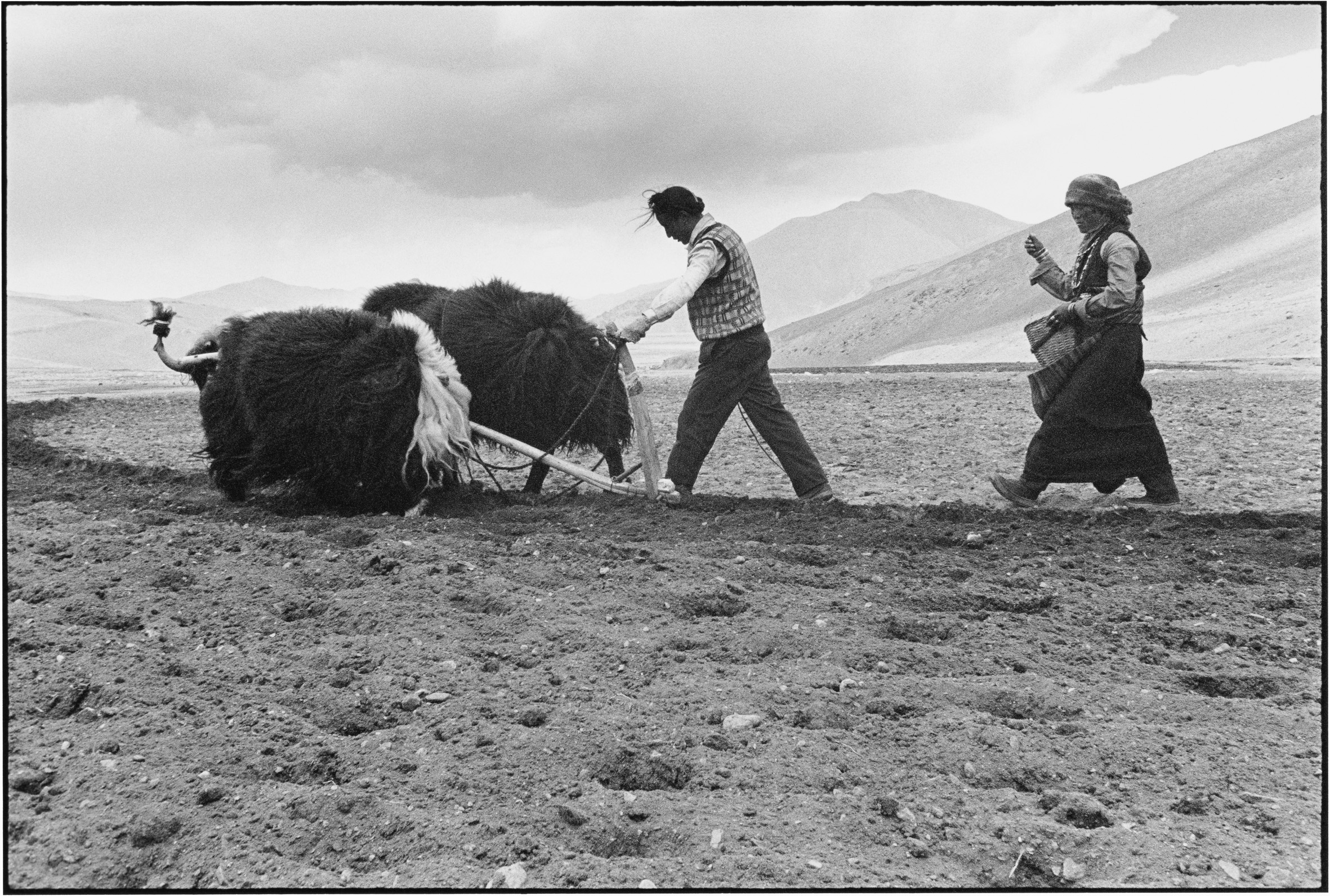 A Husband and Wife Sowing the Fields, Tibet