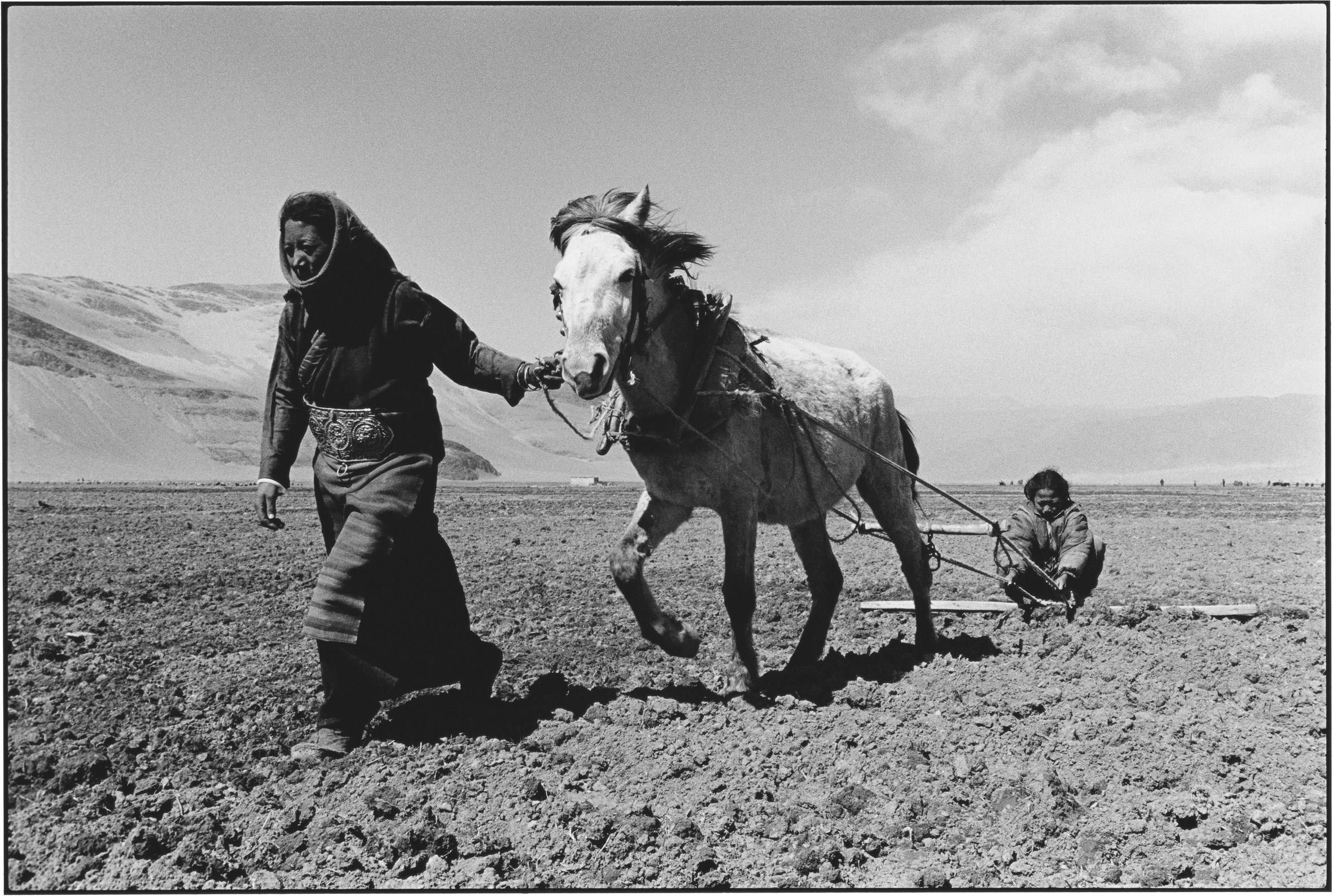Sisters Sowing in Spring, Tibet