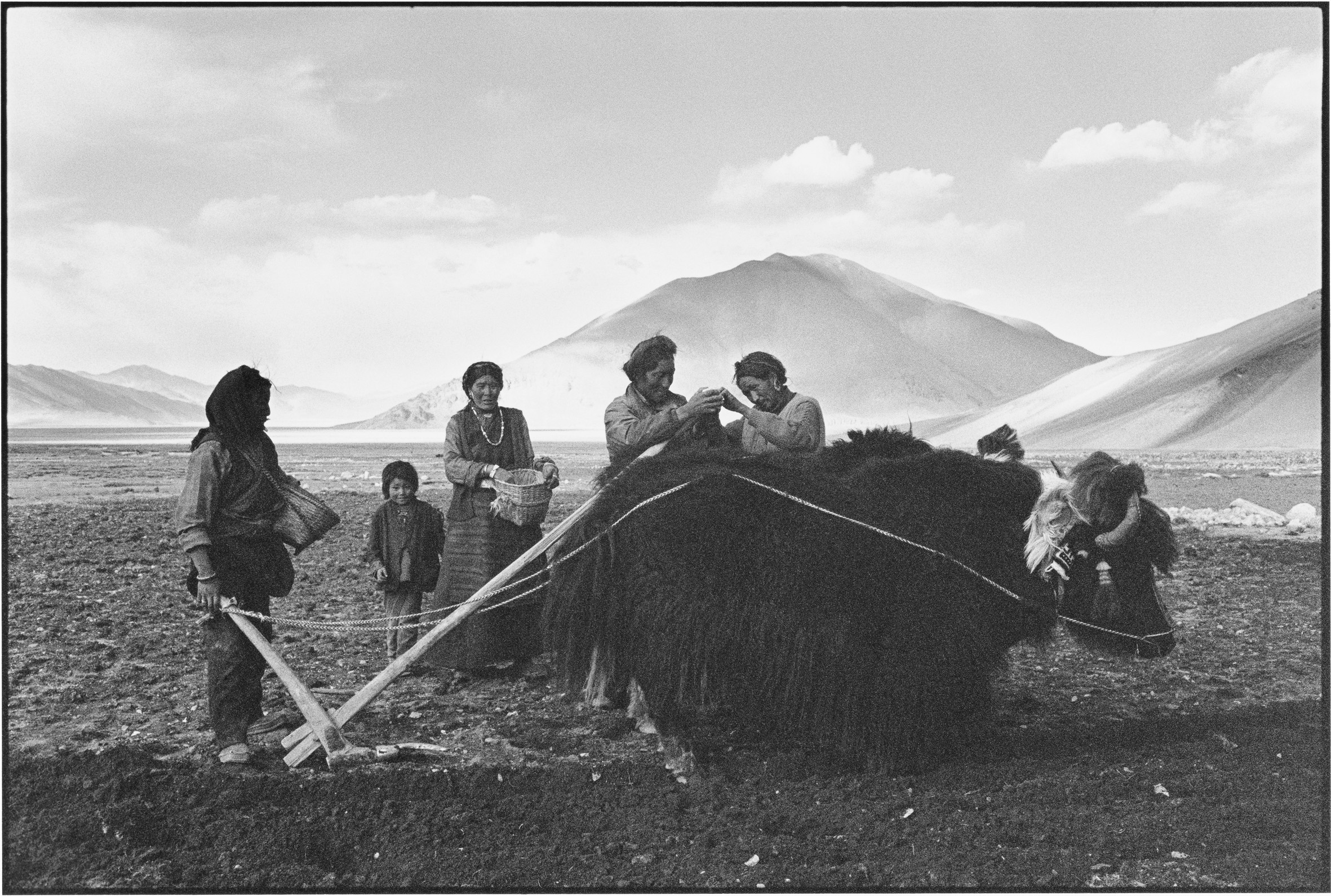 Mending the Plough, Tibet