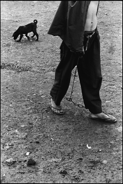 A Prisoner Walking His Dog