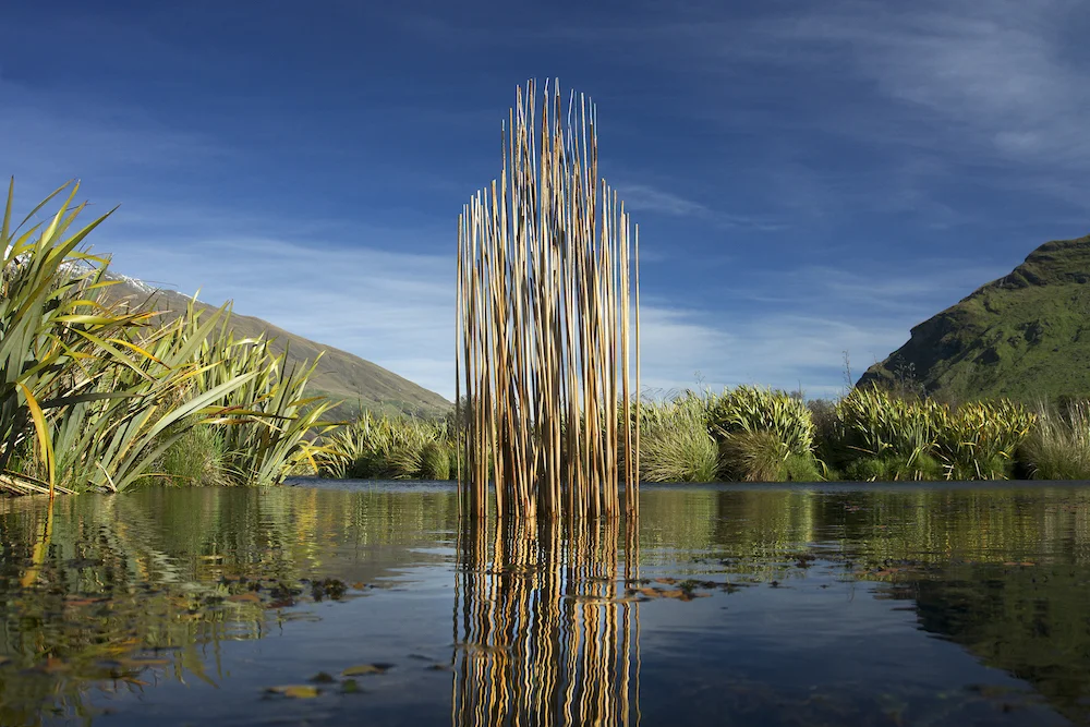 Wetland Guardian