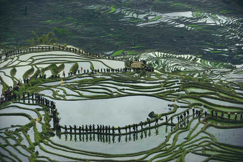 The rice paddies of Yuanyang, Yunnan Province