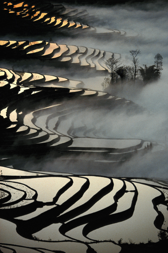 Terraced rice paddies in Yuanyang, Yunnan Province
