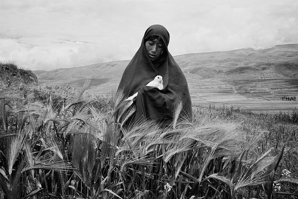 Yang Yankang In 2014, Yang Yankang finally finished his series on Tibetan Buddhism, a body of work he has been shaping for ten years. At the Seventh Guizhou International Photography Festival, Yang's "The Reflections of Soul" was awarded the Jury Prize for Photographer of the Year. When they gave the award, the jury said, "The scenes he has captured are full of religious meaning, but they also represent his life philosophy. He places his emotions into a classic photographic language and visual rhythm. He quietly depicts the spiritual core of these people and the purification of his own soul. Perhaps these images are simply the by-product of his spiritual journey, but he does not concern himself with the transcendental aspects of religion. He simply observes real life, showing simple truths through photography."