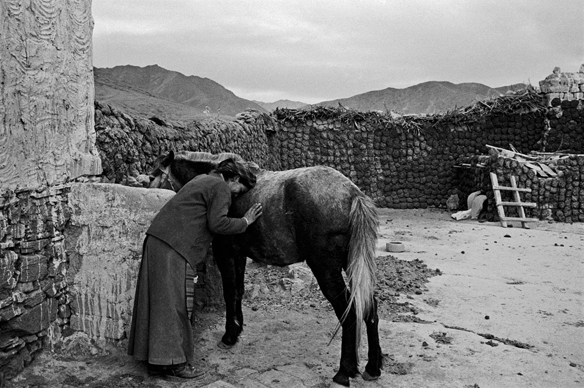 A woman expresses her gratitude to a horse, Tibet