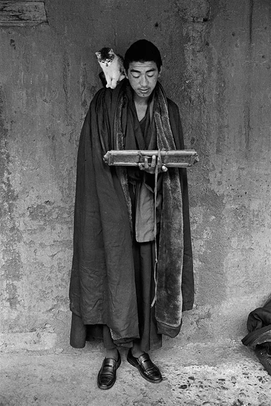 A monk reading the sutras with a cat, Tibet