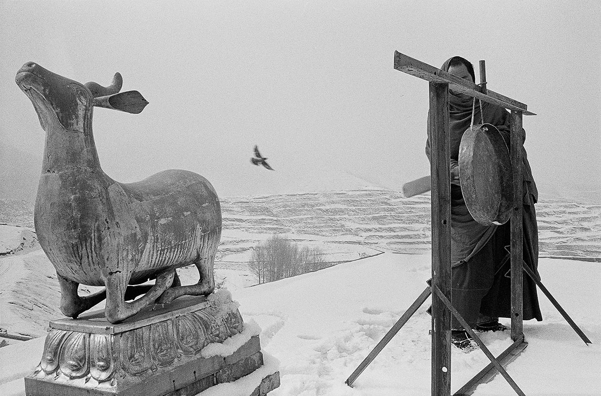 A holy deer, a flying bird, and a monk beating a gong, Qinghai