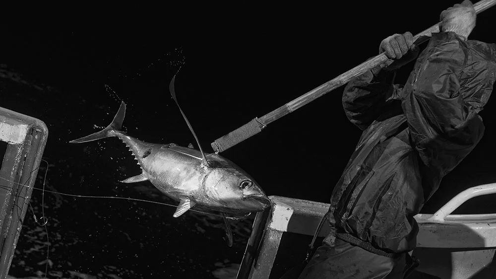 Making a Living in the Ferocious Sea