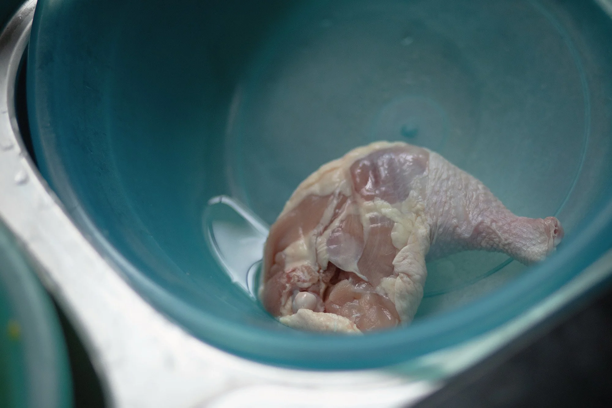 In Grandma's Room, 2019