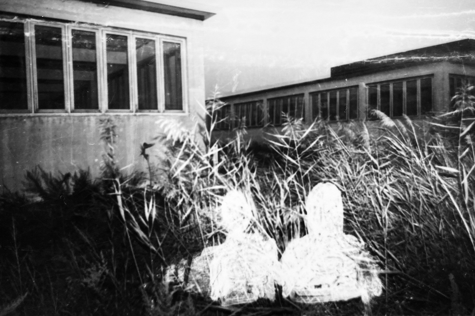 The Parasite of Illusion, 2022-2024