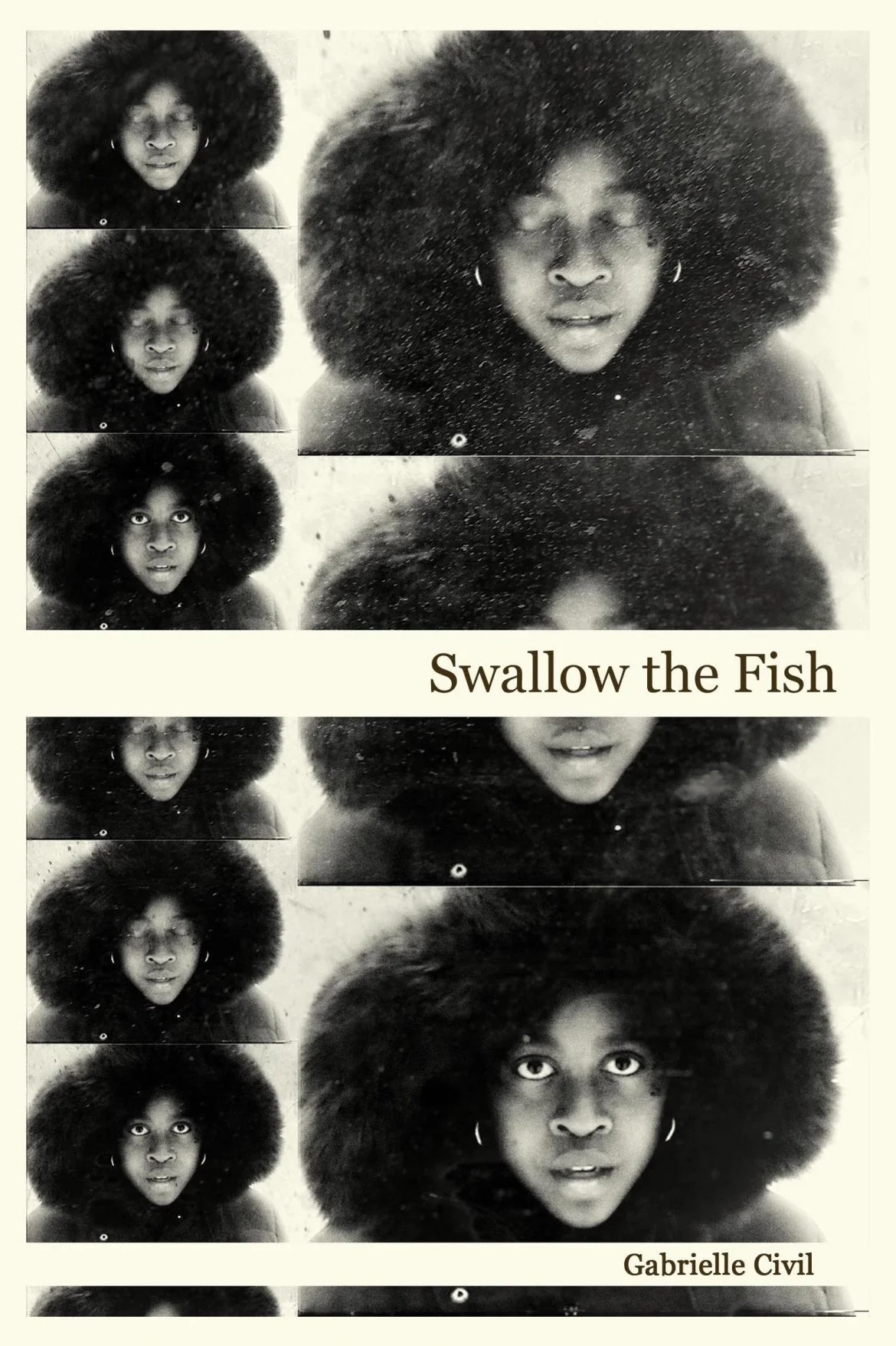 swallow-the-fish-cover.jpg
