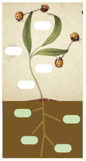 Screen Shot 2018-08-10 at 11.21.02.png