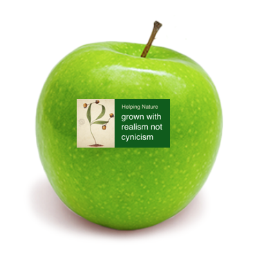 Screen Shot 2018-08-10 at 12.23.51.png