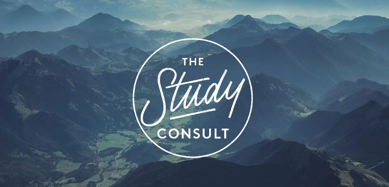 Logo w backgournd mtn.JPG