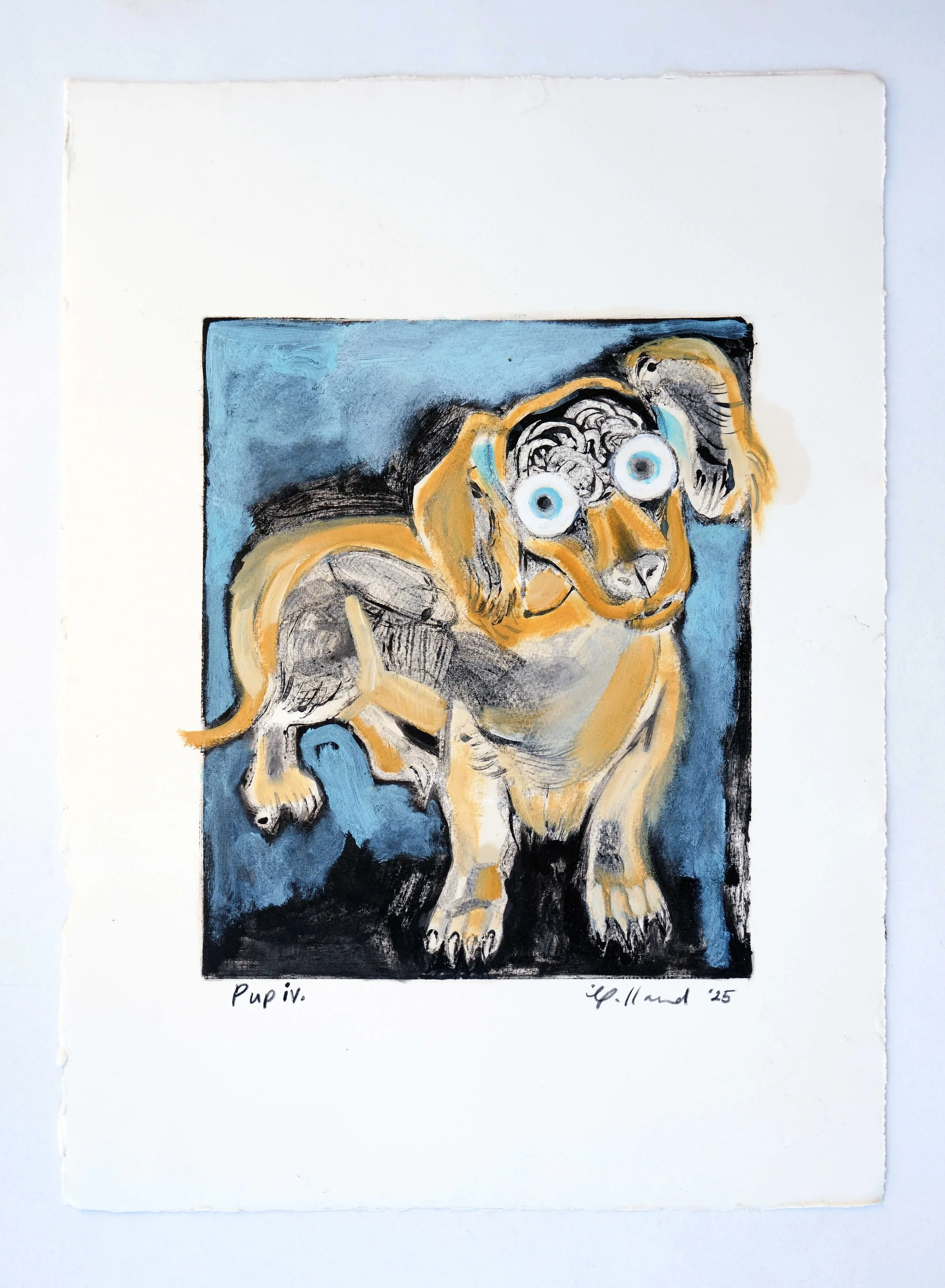 Pup iv.