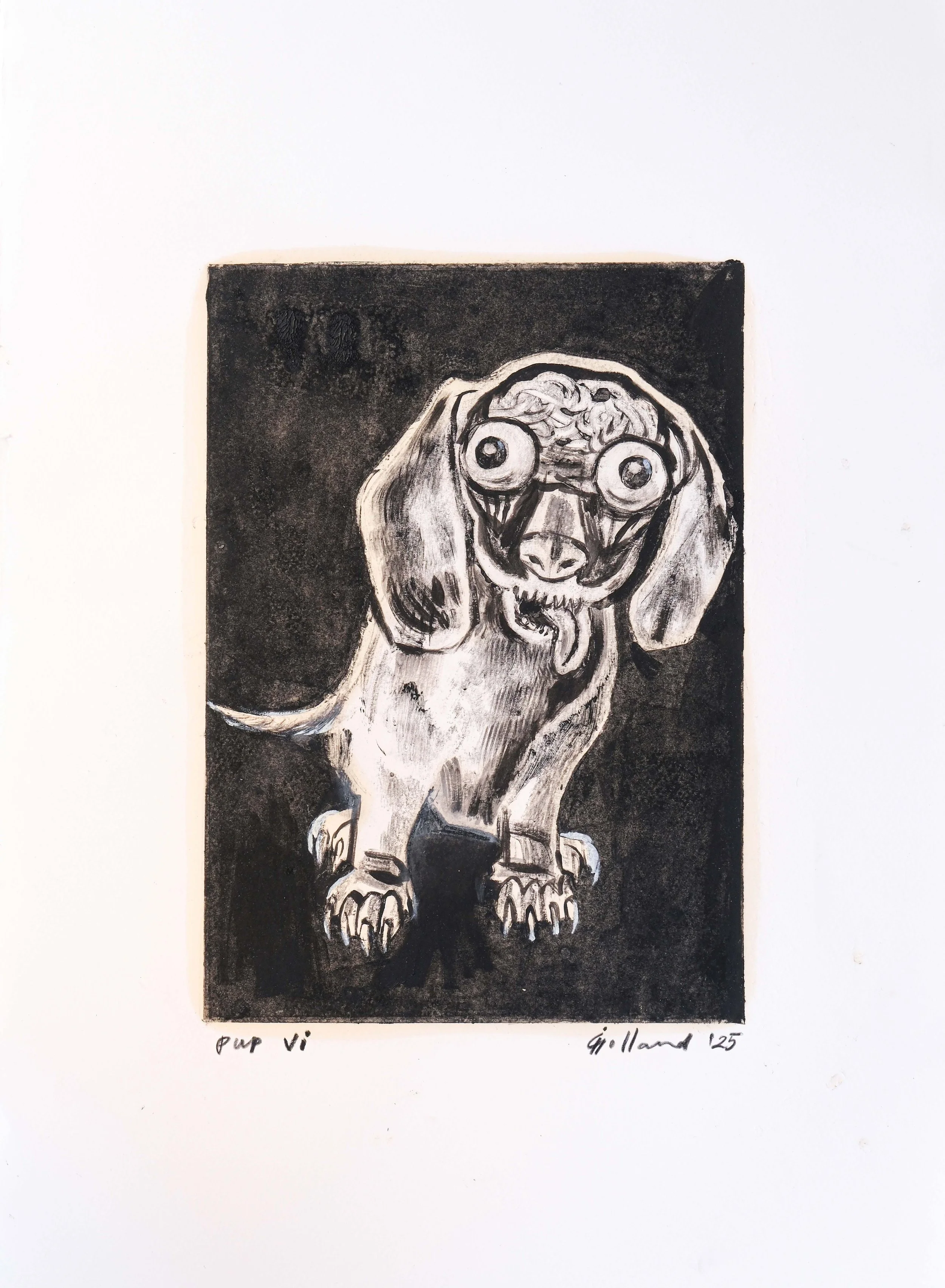 Pup VI 1MB.jpg