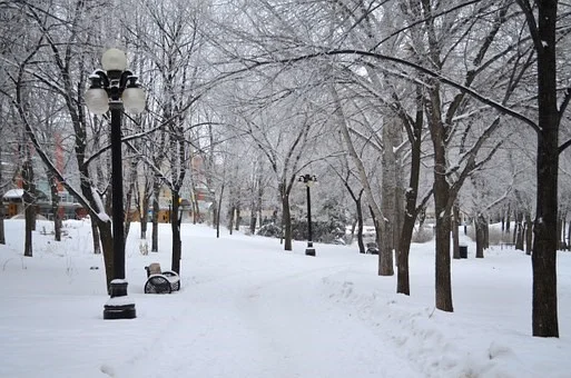 winnipeg 2.jpg