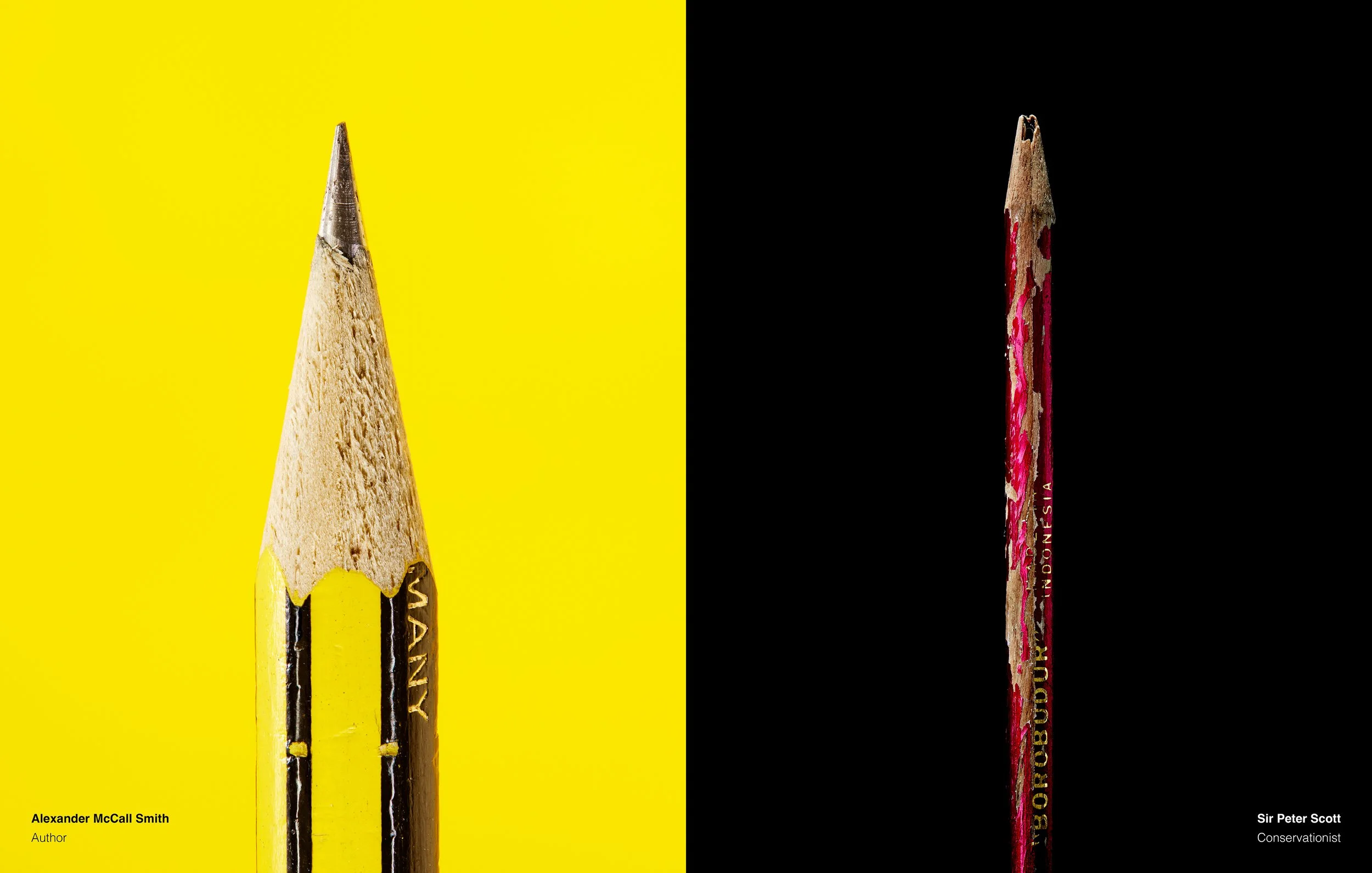 SecretPencils©mtinney2025_024.jpg