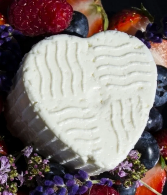 Ricotta41(0313).jpg