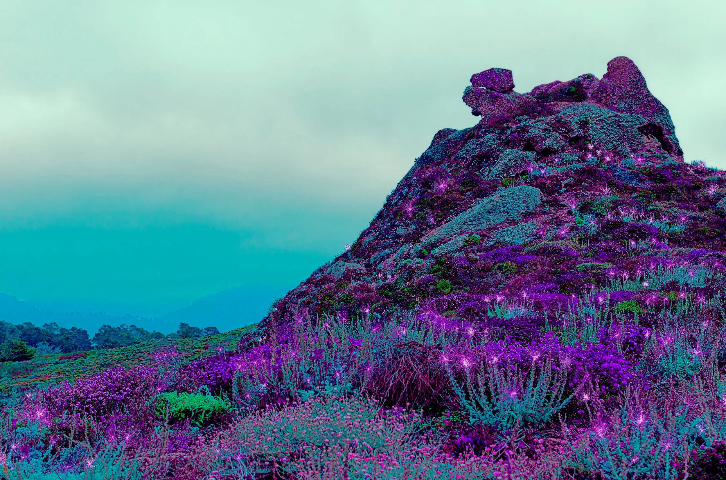 Purple Mountain