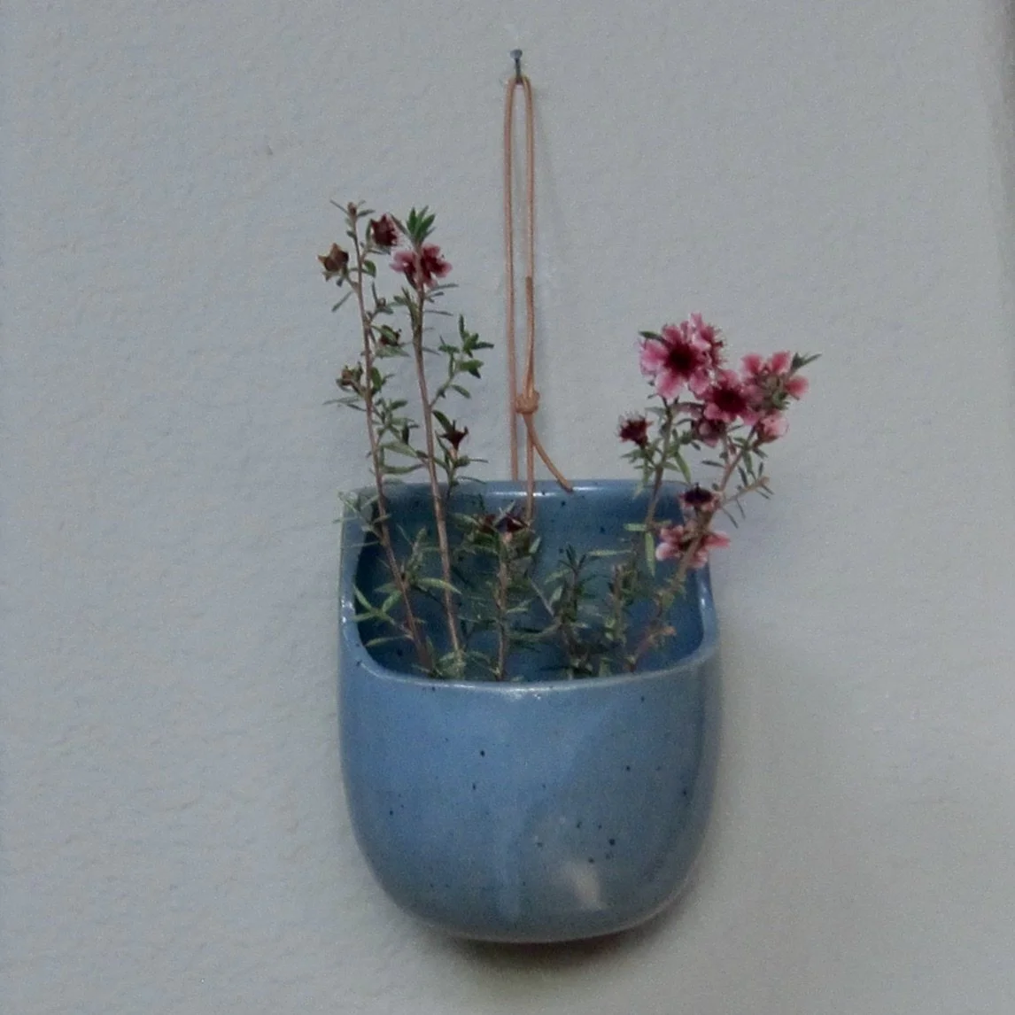 Hanging Flower Vase