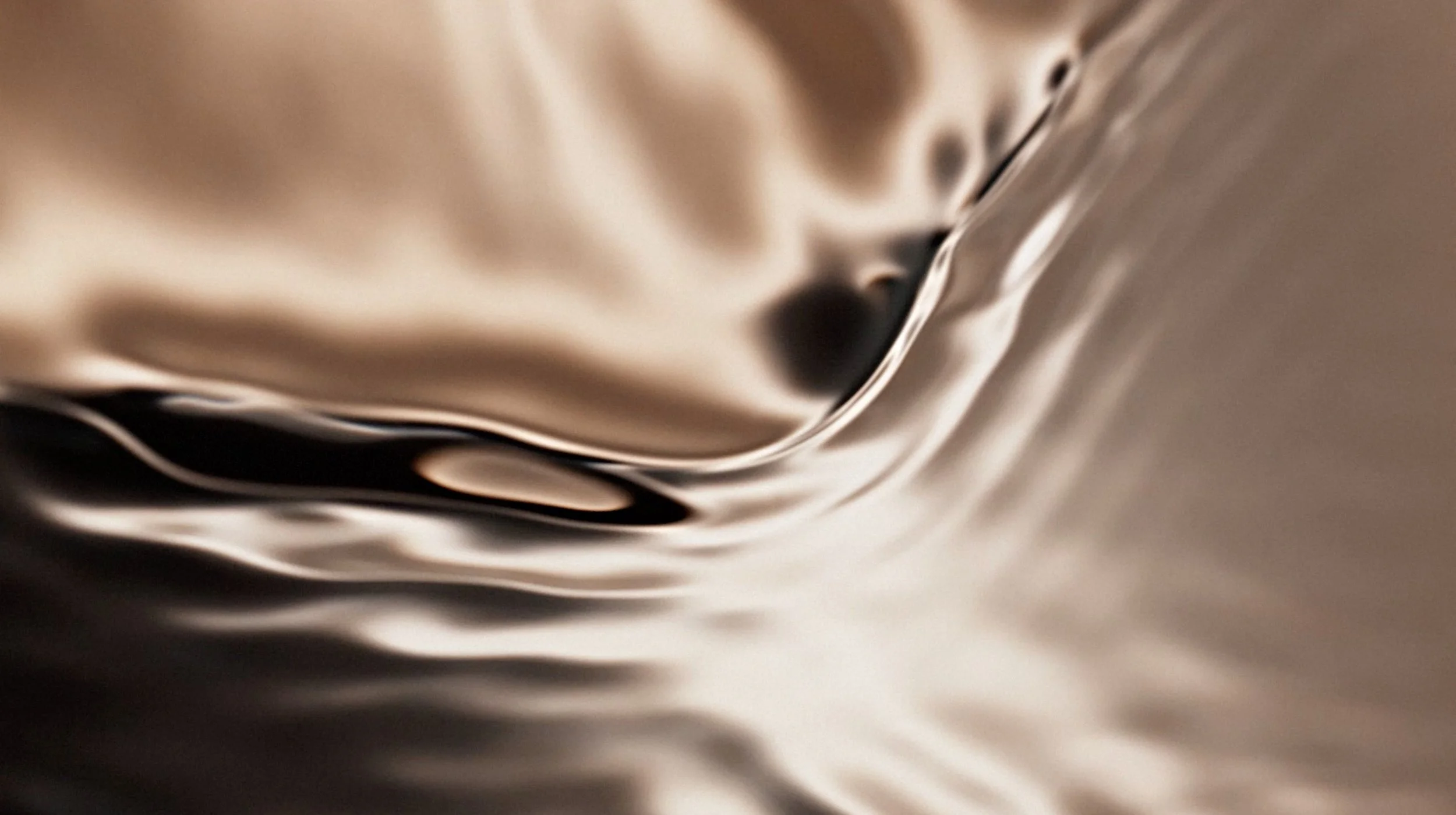 Capture d’écran 2026-02-25 à 16.05.27.jpg