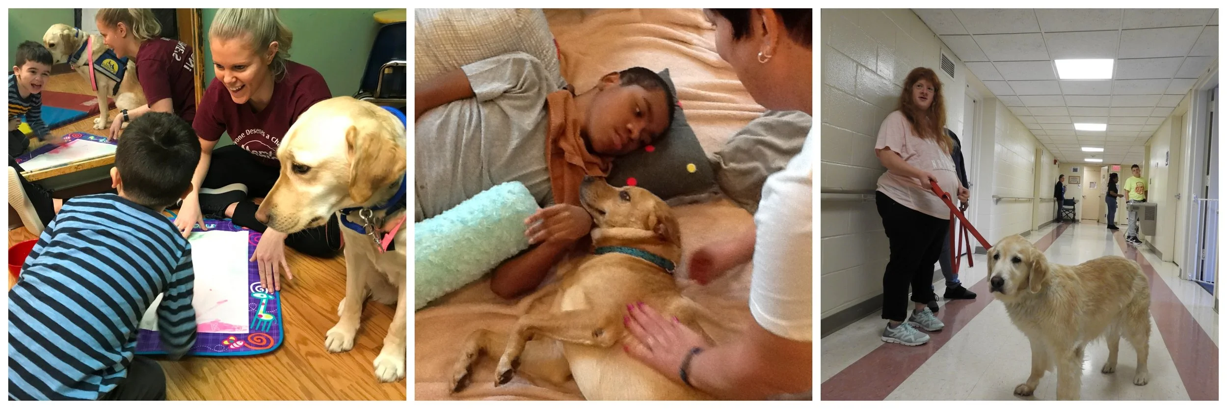 Fidette (l), Lucky and Trixie (r) on the job at Mary Cariola Children’s Center.