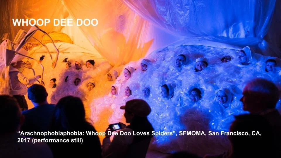 WhoopDeeDoo_Arachnophobiaphobia_2017.jpg