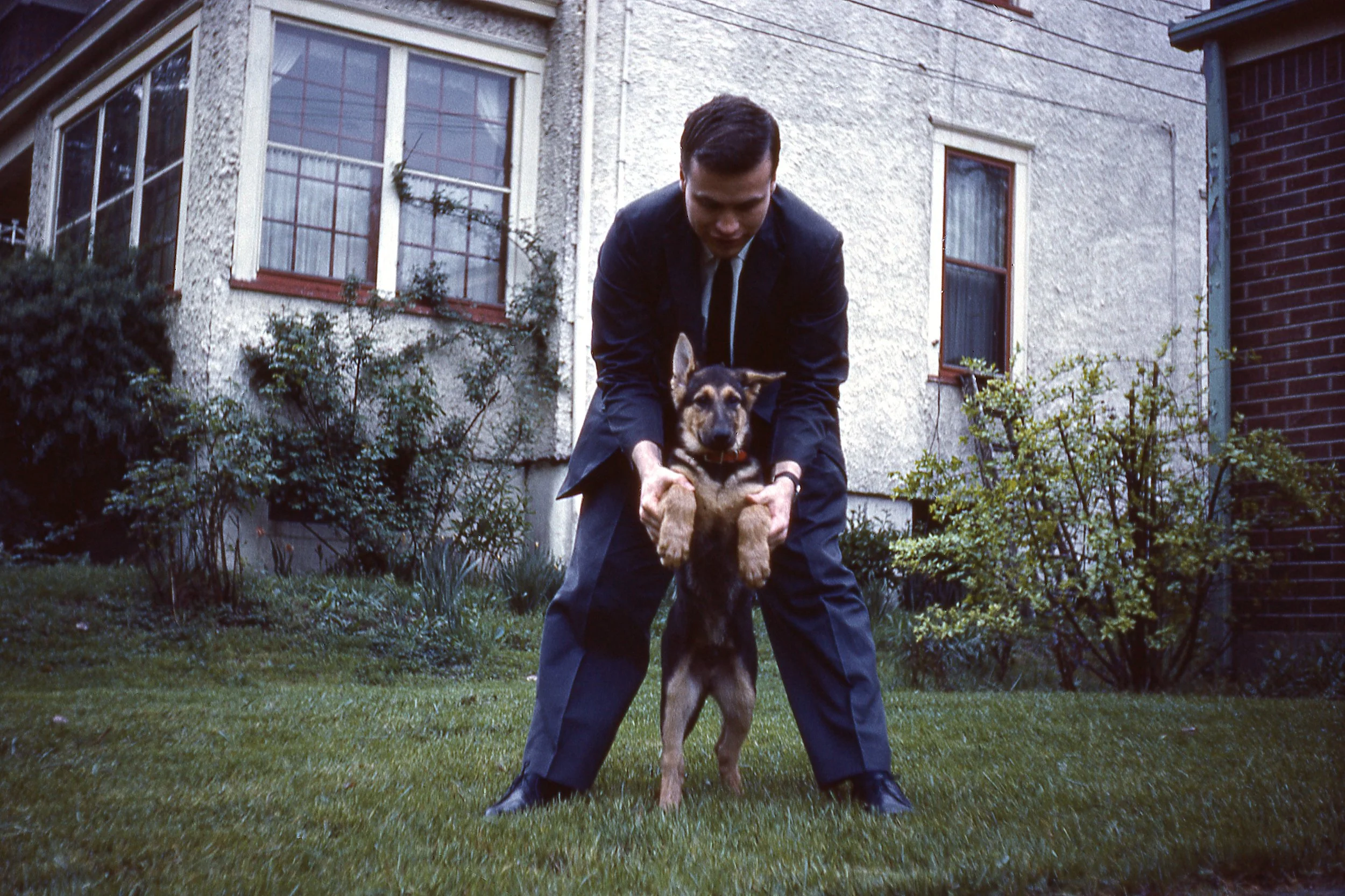 Man's Best Friend