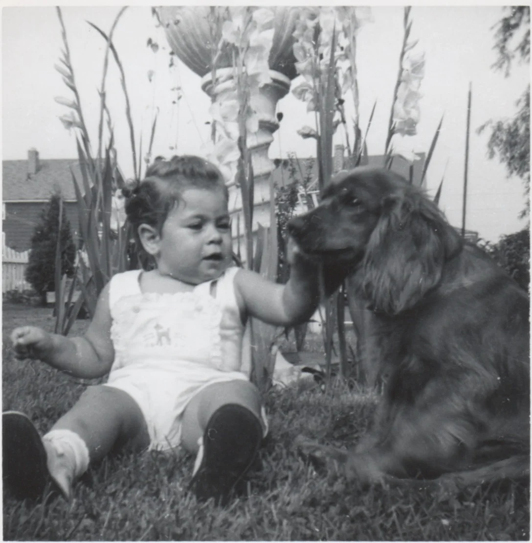 Cocker Spaniel 23.jpeg