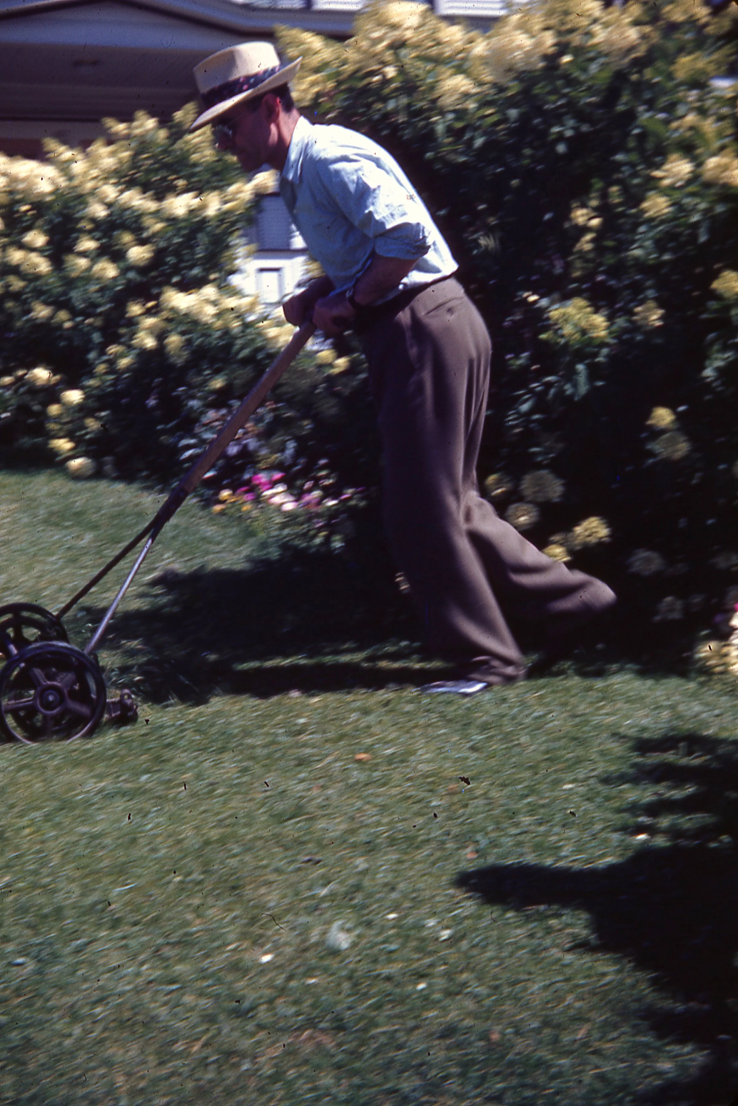 "Pop Mowing Lawn" Kodachrome Photo Slide 1941-1949