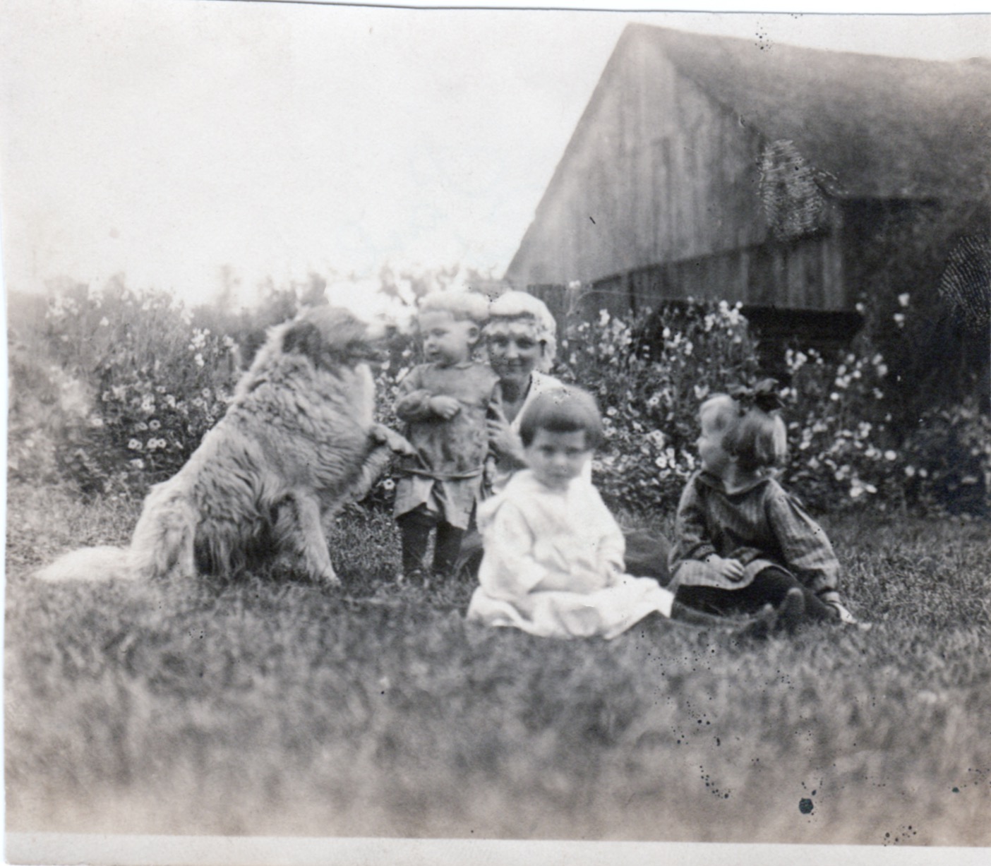 Marie (Malzi) Adams (1892-1985), Ellen's oldest daughter, with three children and their dog, "Shep"
