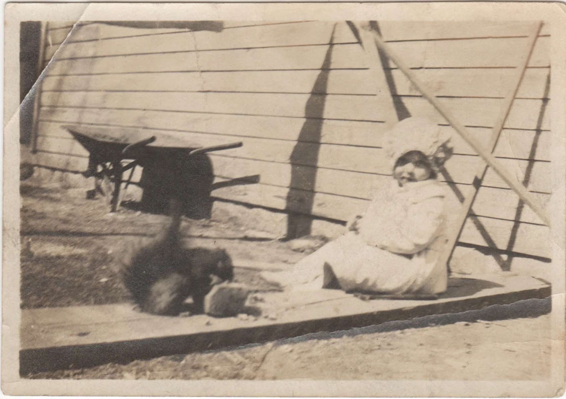 The Psychogenealogist Pic of the Week (#72) - Marian and a Squirrel