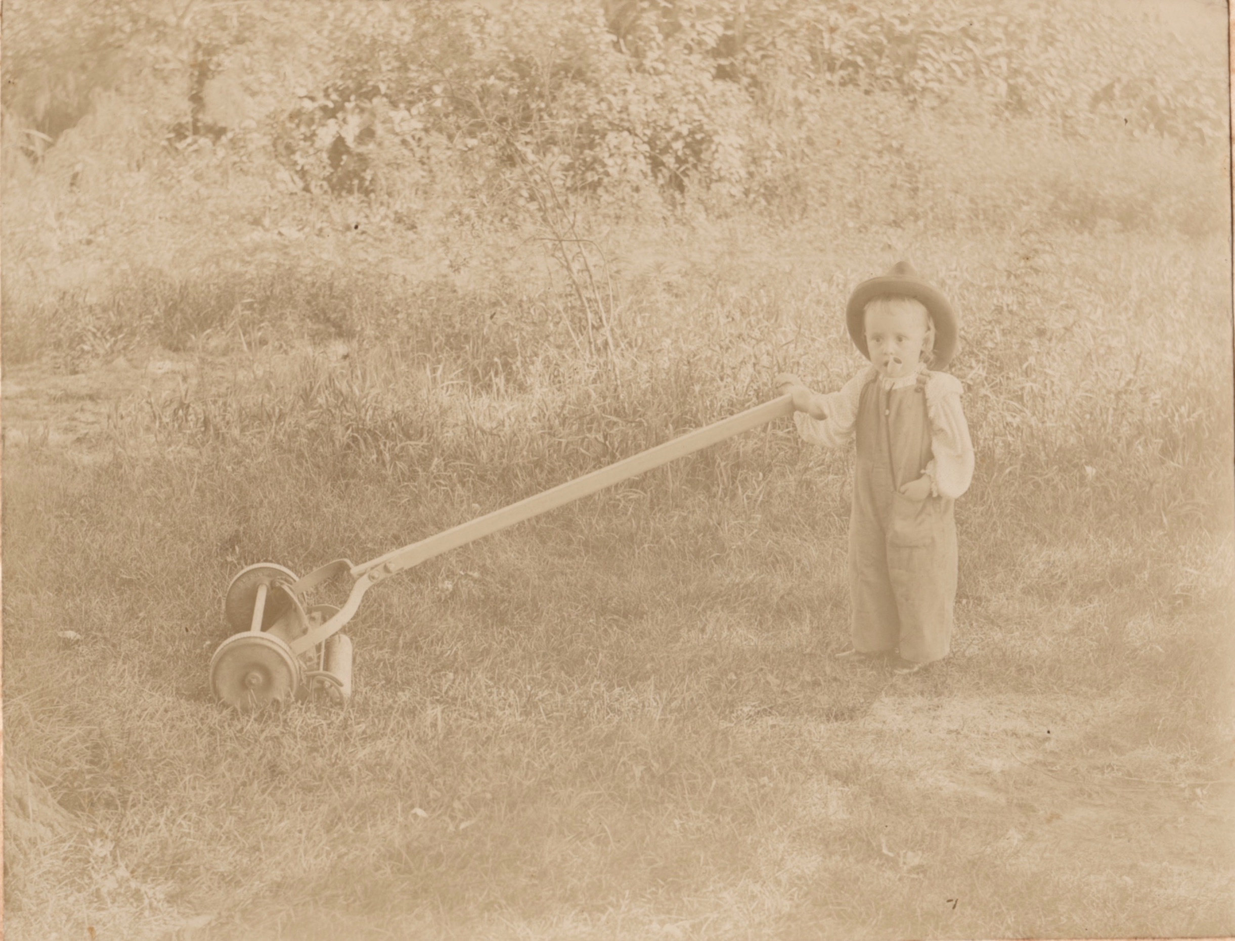 073_Pic_of_Week_CROP1.jpeg