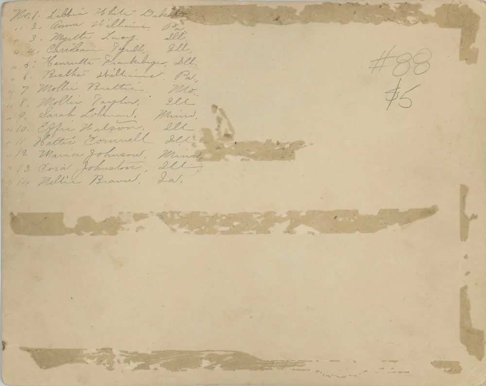 Anna Williams_back.jpeg