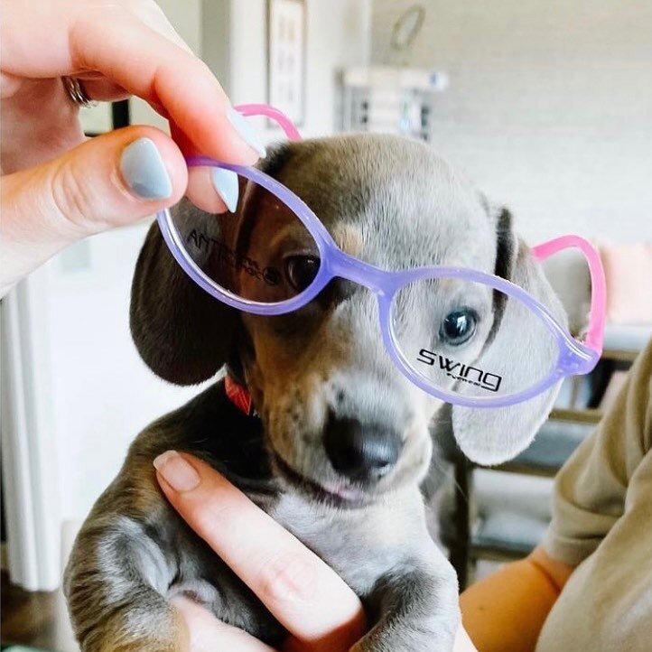 Cuteness overload!!!!!!😍😍 Thank you so much @lakevieweye for sharing this cutie pie rocking our TR006 Col.35! 
.
.
.
.
.
#tekaeyewear #glasses #eyefashion #eyewear #eyewearstyle #lovemyglasses #eyeblogger #luxuryeyewear #optician #optical #eyestyle