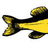 www.tropicalfishvintage.com
